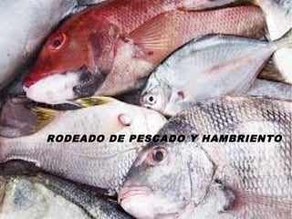 RODEADO DE PESCADO Y HAMBRIENTO
 