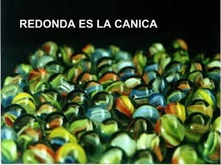 REDONDA ES LA CANICA
 