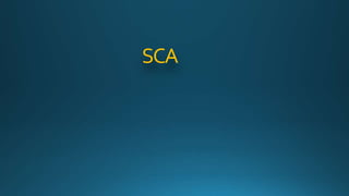 SCA
 