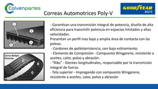 - Garantizan una transmisión integral de potencia, diseño de alta
eficiencia para transmitir potencia en espacios limitados y altas
velocidades.
Presentan un perfil mas bajo y amplia área de contacto con las
poleas:
- Cordones de poliésteristencia, con bajo estiramiento.
- Elemento de Compresión - Compuesto Wingprene, resistente a
aceites, calor, polvo y abrasión.
- “Ribs” - Dientes longitudinales, responsable por la transmisión
integral de fuerza.
- Tela superior - Impregando con compuesto Wingprene,
resistente a aceites, calor, polvo y abrasión
Correas Automotrices Poly-V
 