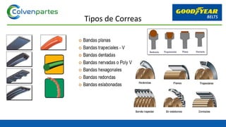 Tipos de Correas
 