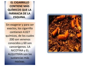 EL CIGARRILLO
   CONTIENE MÁS
 QUÍMICOS QUE LA
  FARMACIA DE LA
      ESQUINA.

Sin exagerar y para ser
 exactos, los cigarrillo
   contienen 4.027
químicos, de los cuales
   200 son venenos
  conocidos y 60 son
   cancerígenos. LA
    NICOTINA y EL
  ALQUITRÁN son las
    sustancias más
       nocivas.
 