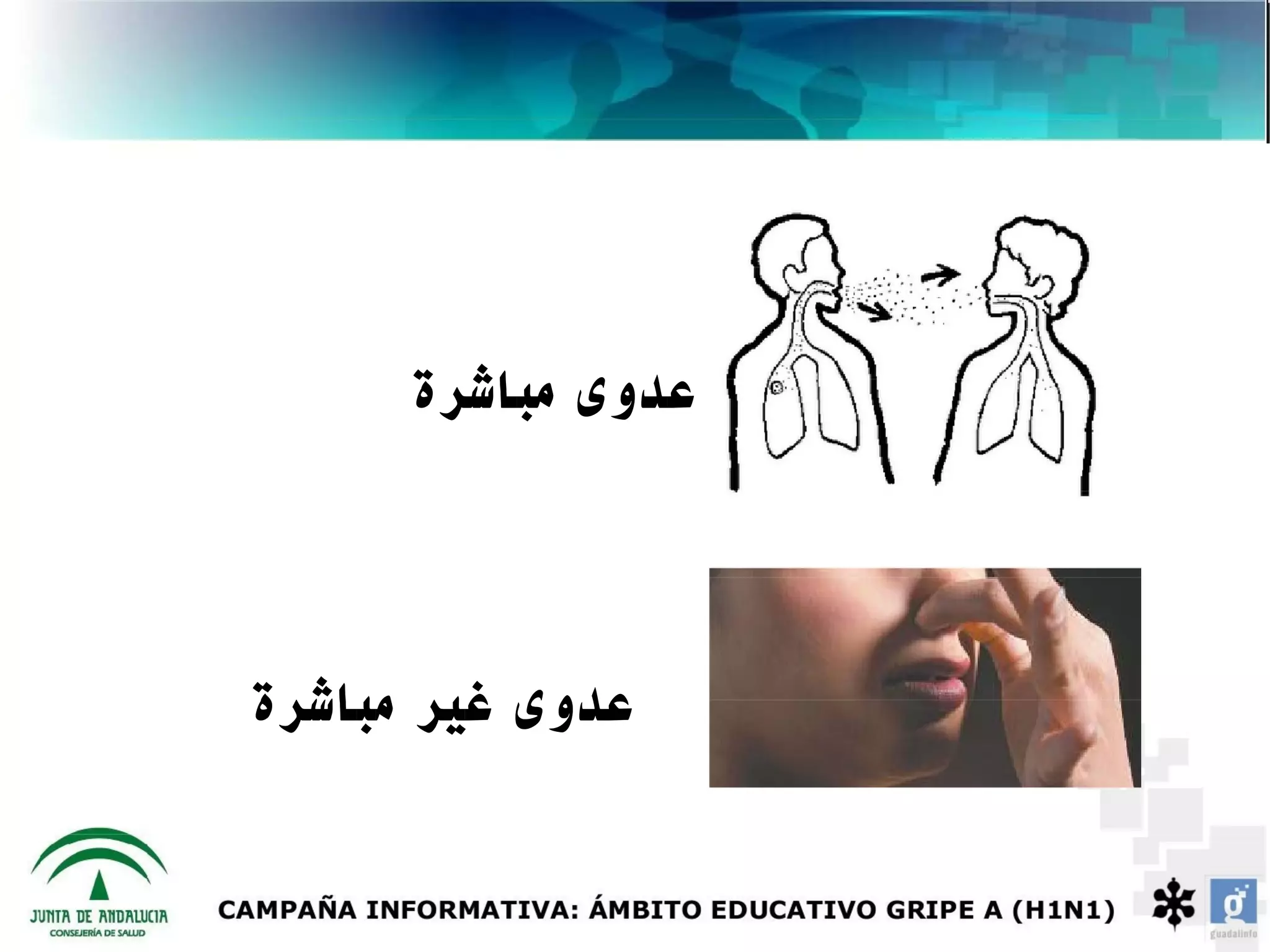 ‫عدوى مباشرة‬



‫عدوى غير مباشرة‬
 