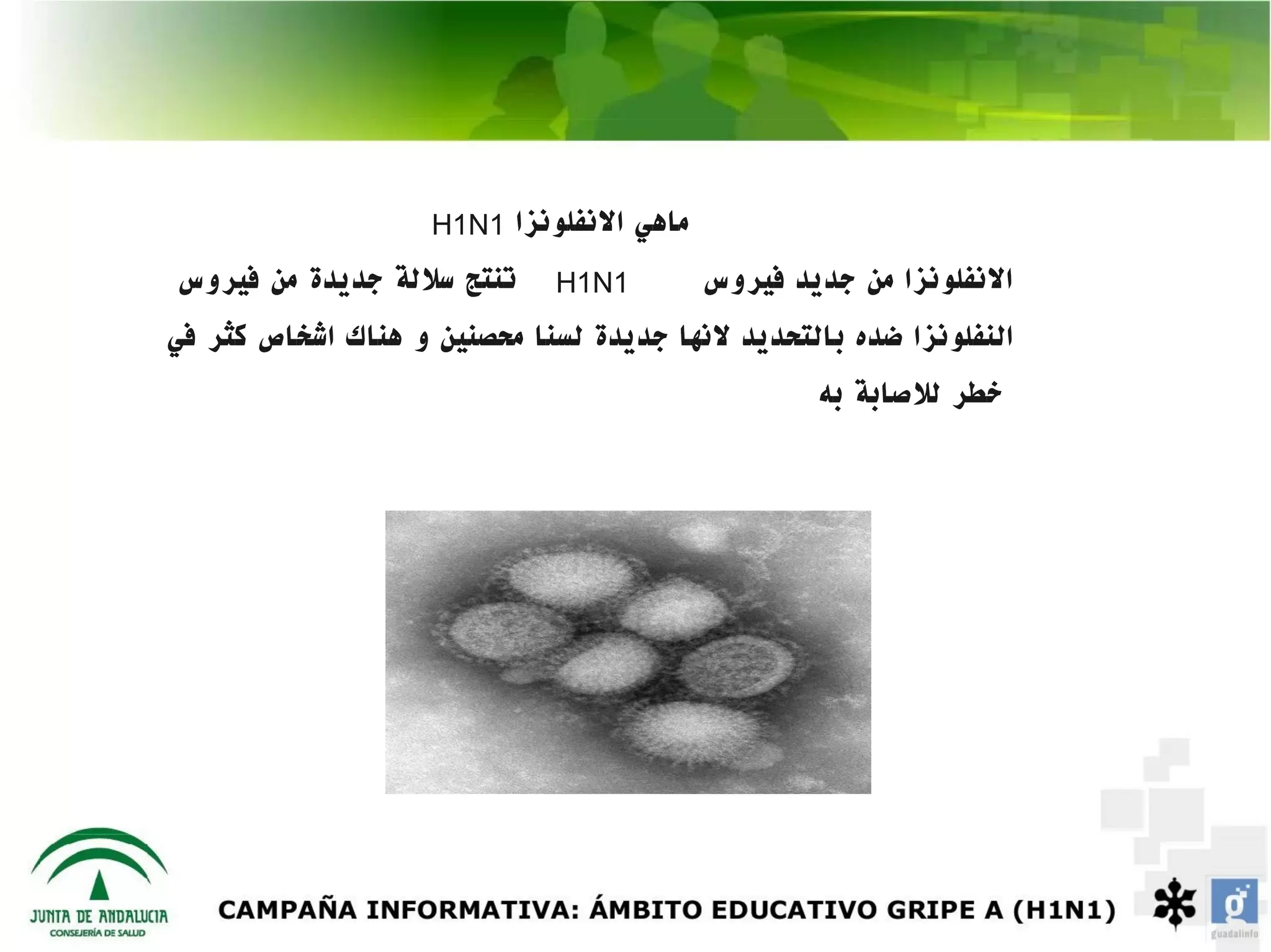 ‫1‪H1N‬‬   ‫ماهي النفلونزا‬
‫تنتج سللة جديدة من فيروس‬      ‫1‪H1N‬‬          ‫النفلونزا من جديد فيروس‬
‫النفلونزا ضده بالتحديد لنها جديدة لسنا محصنين و هناك اشخاص كثر في‬
                                                    ‫خطر للصابة به‬
 