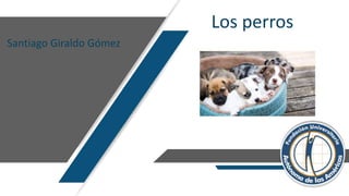 Los perros
Santiago Giraldo Gómez
 