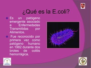 Presentacion grupal e.coli | Infectious Diseases | Diseases and Conditions