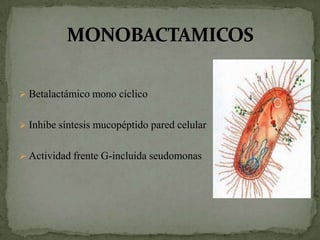  Betalactámico mono cíclico


 Inhibe síntesis mucopéptido pared celular


 Actividad frente G-incluida seudomonas
 