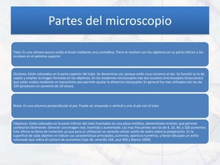 Partes del microscopio

Tubo: Es una cámara oscura unida al brazo mediante una cremallera. Tiene el revolver con los objetivos en su parte inferior y los
oculares en el extremo superior



Oculares: Están colocados en la parte superior del tubo. Se denominan así, porque están muy cercanos al ojo. Su función es la de
captar y ampliar la imagen formada en los objetivos. En los modernos microscopios hay dos oculares (microscopios binoculares)
que están unidos mediante un mecanismo que permite ajustar la distancia interpupilar. En general los mas utilizados son los de
10X (producen un aumento de 10 veces).




Brazo: Es una columna perpendicular al pie. Puede ser arqueado o vertical y une al pie con el tubo



Objetivos: Están colocados en la parte inferior del tubo insertados en una pieza metálica, denominada revolver, que permite
cambiarlos fácilmente. Generan una imagen real, invertida y aumentada. Los mas frecuentes son los de 4, 10, 40, y 100 aumentos.
Este último se llama de inmersión ya que para su utilización se necesita utilizar aceite de cedro sobre la preparación. En la
superficie de cada objetivo se indican sus características principales, aumento, apertura numérica, y llevan dibujado un anillo
coloreado que indica el número de aumentos (rojo 4X, amarillo 10X, azul 40X y blanco 100X)
 