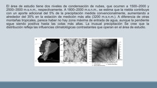 El área de estudio tiene dos niveles de condensación de nubes, que ocurren a 1500–2000 y
2500–3500 m.s.n.m., respectivamente. A 1800–2000 m.s.n.m., se estima que la niebla contribuye
con un aporte adicional del 5% de la precipitación medida convencionalmente, aumentando a
alrededor del 35% en la estación de medición más alta (3200 m.s.n.m.). A diferencia de otras
montañas tropicales, parece haber no hay zona máxima de entrada de agua, aunque la pendiente
sigue siendo positiva hasta las cotas más altas. La inusual precipitación Se cree que la
distribución refleja las influencias climatológicas contrastantes que operan en el área de estudio.
 