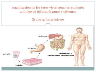 organización de los seres vivos como un conjunto
anímico de tejidos, órganos y sistemas
Grupo 3: los graciosos
 
