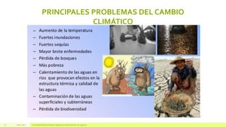 PRINCIPALES PROBLEMAS DEL CAMBIO
CLIMÁTICO
Julio, 2016 Universidad Mariano Gálvez | Maestría en administración de negocios10
 