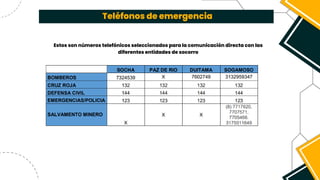Teléfonos de emergencia
Estos son números telefónicos seleccionados para la comunicación directa con las
diferentes entidades de socorro
 