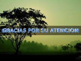 Sistemas operativos Presentación grupo 73