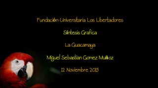 Fundación Universitaria Los Libertadores
Síntesis Grafica
La Guacamaya
Miguel Sebastian Gomez Muñoz
12 Noviembre 2015
 