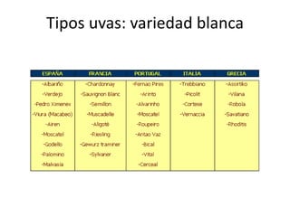 Clasificación por edad Vinos Jovenes: no han tenido conservación en madera (o muy poca) 