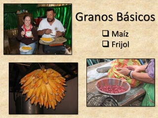 San José, Guajiquiro – Cooperativa CIALSAJOLAlfareríaLencaTradicional