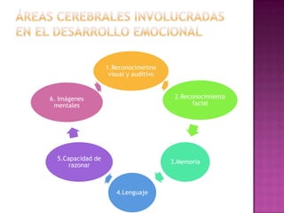 ÁREAS CEREBRALES INVOLUCRADAS EN EL DESARROLLO EMOCIONAL 