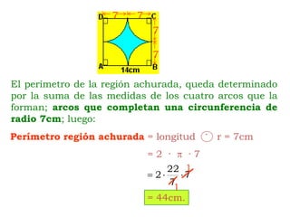7777.Perímetro región achurada= longitud       r = 7cmEl perímetro de la región achurada, queda determinado por la suma de las medidas de los cuatro arcos que la forman; arcos que completan una circunferencia de radio 7cm; luego:= 2  ·    · 711= 44cm.