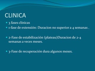 CLINICA
 3 fases clínicas
 1-fase de extensión: Duracion no superior a 4 semanas .
 2-Fase de estabilización (plateau)Duracion de 2-4
semanas a veces meses.
 3-Fase de recuperación dura algunos meses.
 