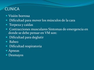 CLINICA
 Visión borrosa
 Dificultad para mover los músculos de la cara
 Torpeza y caídas
 Contracciones musculares Síntomas de emergencia en
donde se debe pensar en VM son:
 Dificultad para deglutir
 Babeo
 Dificultad respiratoria
 Apneas
 Desmayos
 