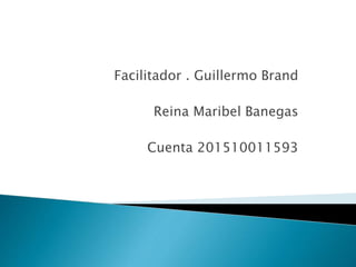 Facilitador . Guillermo Brand
Reina Maribel Banegas
Cuenta 201510011593
 