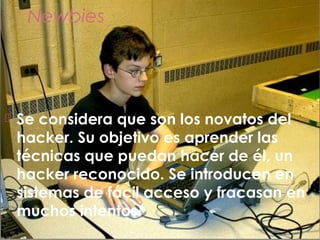Newbies
 Se considera que son los novatos del
hacker. Su objetivo es aprender las
técnicas que puedan hacer de él, un
hacker reconocido. Se introducen en
sistemas de fácil acceso y fracasan en
muchos intentos.
 