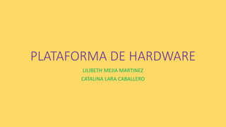 PLATAFORMA DE HARDWARE
LILIBETH MEJIA MARTINEZ
CATALINA LARA CABALLERO
 