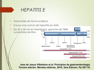 HEPATITIS E
 Transmitida de forma entérica
 Causa mas común de hepatitis en ASIA
 De 32 a 34 nm sin membrana, genoma de 7600
nucleótidos de Rna
Jose de Jesus Villalobos et al. Principios de gastroenterología.
Tercera edición. Mendez editores. 2010, 3era Edicion. Pp 657-78.
 