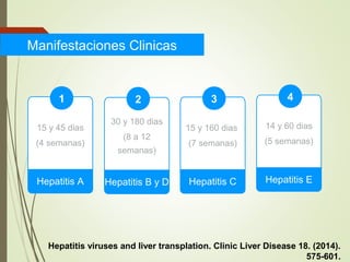 Manifestaciones Clinicas
15 y 45 dias
(4 semanas)
Hepatitis A
1
30 y 180 dias
(8 a 12
semanas)
Hepatitis B y D
2
15 y 160 dias
(7 semanas)
Hepatitis C
3
14 y 60 dias
(5 semanas)
Hepatitis E
4
Hepatitis viruses and liver transplation. Clinic Liver Disease 18. (2014).
575-601.
 