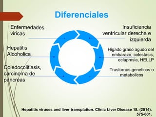 Insuficiencia
ventricular derecha e
izquierda
Higado graso agudo del
embarazo, colestasis,
eclapmsia, HELLP
Trastornos geneticos o
metabolicos
Enfermedades
viricas
Hepatitis
Alcoholica
Coledocolitiasis,
carcinoma de
pancreas
Diferenciales
Hepatitis viruses and liver transplation. Clinic Liver Disease 18. (2014).
575-601.
 