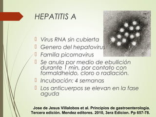 HEPATITIS A
 Virus RNA sin cubierta
 Genero del hepatovirus
 Familia picornavirus
 Se anula por medio de ebullición
durante 1 min, por contato con
formaldheido, cloro o radiación.
 Incubación: 4 semanas
 Los anticuerpos se elevan en la fase
aguda
Jose de Jesus Villalobos et al. Principios de gastroenterología.
Tercera edición. Mendez editores. 2010, 3era Edicion. Pp 657-78.
 