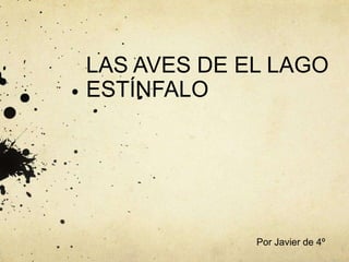 LAS AVES DE EL LAGO
ESTÍNFALO
Por Javier de 4º