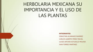 HERBOLARIA MEXICANA SU
IMPORTANCIA Y EL USO DE
LAS PLANTAS
INTEGRANTES:
SEBASTIAN ALVARADO RAMIREZ
CARLOS ALBERTO PEREZ MACIEL
ULISES ARTURO ESTUDILLO MOLINA
IVAN TORRES MARTINEZ
 