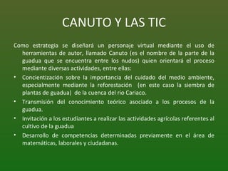 CANUTO Y LAS TIC Como estrategia se diseñará un personaje virtual mediante el uso de herramientas de autor, llamado Canuto (es el nombre de la parte de la guadua que se encuentra entre los nudos) quien orientará el proceso mediante diversas actividades, entre ellas: Concientización sobre la importancia del cuidado del medio ambiente, especialmente mediante la reforestación  (en este caso la siembra de plantas de guadua)  de la cuenca del rio Cariaco. Transmisión del conocimiento teórico asociado a los procesos de la guadua. Invitación a los estudiantes a realizar las actividades agrícolas referentes al cultivo de la guadua Desarrollo de competencias determinadas previamente en el área de matemáticas, laborales y ciudadanas. 