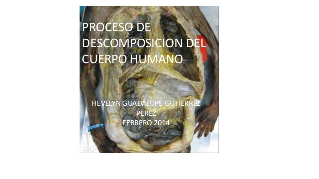 la descomposicion del cuerpo humano