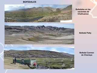 BOFEDALES
Bofedales en las
nacientes de
Chalhuanca-

Bofedal Patty

Bofedal Carmen
de Chaclaya

 