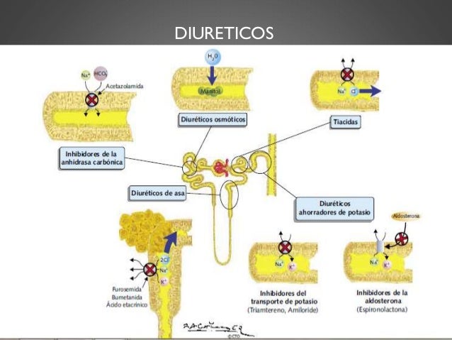 Las ideas acerca de alimentacion para la hipertensión arterial