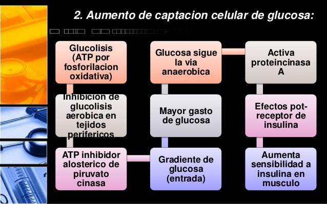 hipoglucemiantes e insulinas hipoglucemiantes e insulinas