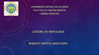 UNIVERSIDAD CENTRAL DEL ECUADOR
FACULTAD DE CIENCIAS MÉDICAS
CARRERA MEDICINA
CÁTEDRA DE HISTOLOGÍA
APARATO GENITAL MASCULINO
 