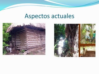 Aspectos actuales
 
