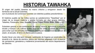 HISTORIA TAWAHKA
El origen del pueblo tawahka es macro chibcha y emigraron desde los
territorios de la actual Colombia.
son el producto de numerosas fusiones con distintos pueblos precolombinos.
El histórico pueblo de los indios sumos se autodenomina “Tawahkas” por el
origen de su lengua materna y estaba formada por diez grupos distintos:
Tawahka, Panamaka, Ulwa, Bawiaka, Kubra, Yusku, Prinzu, Boah, Silam y Ku”.
Subsisten gracias a una combinación de pesca, cacería, agricultura a pequeña
escala y trueque. Los cultivos suelen estar en las orillas opuestas del poblado
para evitar que los animales domésticos perjudiquen los sembradíos. Utilizan el
arpón, el anzuelo, el arco y la flecha para la pesca.
Suelen llevar una vida semi nómada, cambiando de hogares ya construidos de
acuerdo a la época de siembra, pesca, por razones religiosas o por el avance
de campesinos, ganaderos y madereros provenientes del vecino departamento
de Olancho.
 