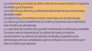 Las emociones y el estado de ánimo afectan de manera positiva o negativa
al cerebro y sus funciones.
Las experiencias directas y multisensoriales propician que las personas
aprendan mejor.
Los ejercicios y el movimiento están conectados con el aprendizaje.
La música y el arte transforman el cerebro y favorecen una experiencia
más efectiva de aprendizaje.
La capacidad del cerebro para guardar información es ilimitada y maleable.
Factores como la alimentación, la calidad del sueño, el entorno
socioeconomico y cultural, las lesiones cerebrales, la genética y los
aprendizajes previos consolidados ejercen influencia en el cerebro y por
ende la manera que aprende.
 