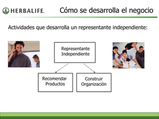 Recomendar  Productos Construir Organización Representante Independiente Cómo se desarrolla el negocio Actividades que desarrolla un representante independiente: 