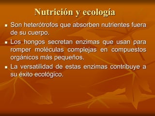 Nutrición y ecología
 Son heterótrofos que absorben nutrientes fuera
de su cuerpo.
 Los hongos secretan enzimas que usan para
romper moléculas complejas en compuestos
orgánicos más pequeños.
 La versatilidad de estas enzimas contribuye a
su éxito ecológico.
 