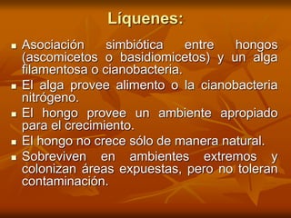 Líquenes:
 Asociación simbiótica entre hongos
(ascomicetos o basidiomicetos) y un alga
filamentosa o cianobacteria.
 El alga provee alimento o la cianobacteria
nitrógeno.
 El hongo provee un ambiente apropiado
para el crecimiento.
 El hongo no crece sólo de manera natural.
 Sobreviven en ambientes extremos y
colonizan áreas expuestas, pero no toleran
contaminación.
 