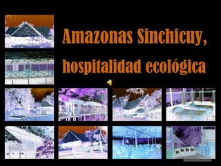 Amazonas Sinchicuy,
hospitalidad ecológica
hospitalidad
ecológica

 