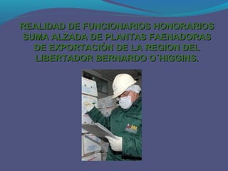 REALIDAD DE FUNCIONARIOS HONORARIOS
SUMA ALZADA DE PLANTAS FAENADORAS
DE EXPORTACIÓN DE LA REGION DEL
LIBERTADOR BERNARDO O´HIGGINS.

 