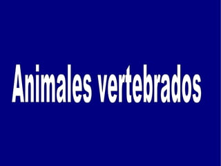 Animales vertebrados   