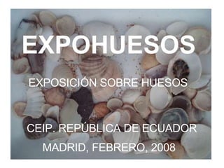 EXPOHUESOS EXPOSICIÓN SOBRE HUESOS CEIP. REPÚBLICA DE ECUADOR MADRID, FEBRERO, 2008 