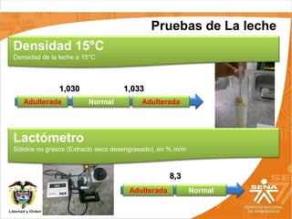 Pruebas de La leche
Densidad 15°C
Densidad de la leche a 15°C



               1,030               1,033
   Adulterada           Normal           Adulterada




Lactómetro
Sólidos no grasos (Extracto seco desengrasado), en % m/m



                                                  8,3
                                     Adulterada            Normal
 